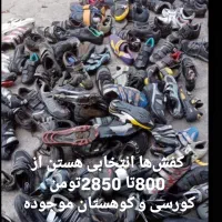 کفش دوچرخه سواری کورسی و کوهستان موجوده تعداد|دوچرخه، اسکیت، اسکوتر|آستانه اشرفیه, |دیوار