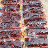 آلوچه جنگلی|خوردنی و آشامیدنی|شبستر, |دیوار