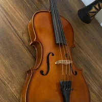 ویولاViola|ویولن|شیراز, باغ تخت|دیوار