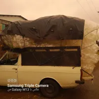 وانت تلفنی