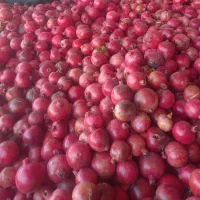 رب انار خونگی