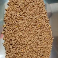 دان آماده ماکیان|لوازم جانبی حیوانات|قلعه نو, |دیوار