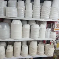 تهیه توزیع کلیه ظروف یکبار مصرف فوری