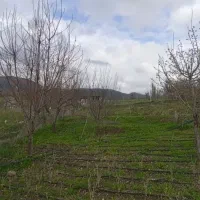 فروش ملک تجاری