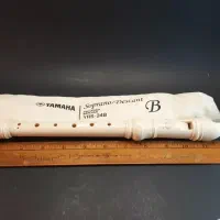 فلوت ریکوردر|سازهای بادی|شهرکرد, |دیوار