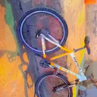 دوچرخه 26 تنه بلند VIVA