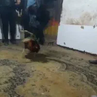شرینی میدم..