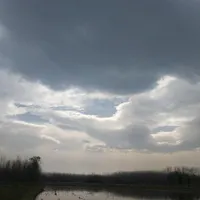 جویای کار هستم