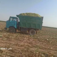 کمپرسی آیفا