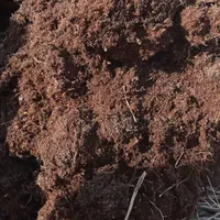 خاک باغچه گل باغچه|عمدهفروشی|شیراز, صاحب الزمان|دیوار