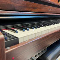 رقیب سرسخت clp845 پیانو دیجیتال Pearl River F53|پیانو، کیبورد، آکاردئون|تهران, بهارستان|دیوار