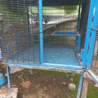 قفس پرندگان محکم وبادوام