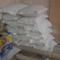 بذر گندم دیم رقم باران