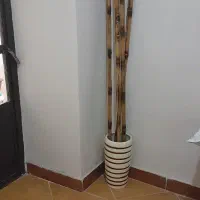 گل بامبو با گلدان سفالی بزرگ