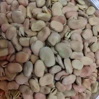 باقلا خشک و درجه یک امسال|خوردنی و آشامیدنی|شیراز, میانرود|دیوار
