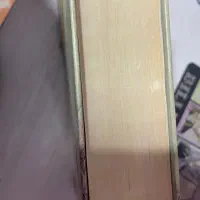 کتاب حافظ عصر مدرن به زبان فارسی و المانی|کتاب و مجله تاریخی|تهران, گیشا|دیوار