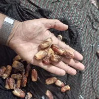 شندشکن با رنگو دارم خراج|خوردنی و آشامیدنی|سراوان, |دیوار