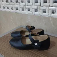 کفش|کیف، کفش، کمربند|ملایر, |دیوار