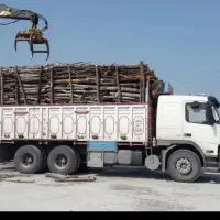 انواع چوب تر و خشک