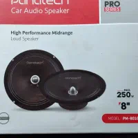 میدرنج مشکی۸اینچ