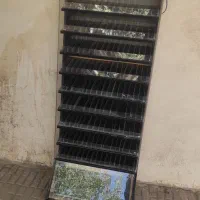 استند لاک ناخن