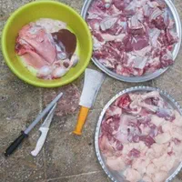 گوسفند زنده شهریار اندیشه و کل کرج باقصاب|حیوانات مزرعه|اندیشه, اندیشه فاز ۱|دیوار