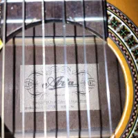 گیتار آریا Ak 300E