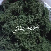 سبزی خشک|خوردنی و آشامیدنی|شیراز, ظفرآباد|دیوار