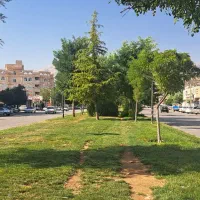 اجاره-تجاری-بلوار-عدل