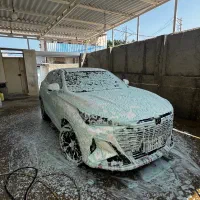استخدام نیرو برای کارواش