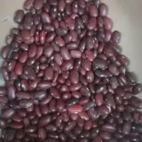 پخش عمده حبوبات به تمام نقاط استان و شهرستان|عمدهفروشی|شیراز, سعدیه جنوبی|دیوار