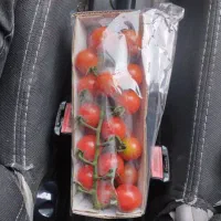 فروش عمده گوجه خوشه و گوجه بری