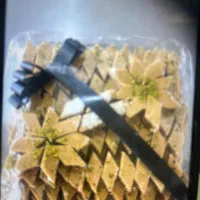 استخدام کارگر ساده خانم