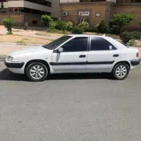زانتیا سفید