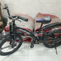 ویوا آلمینیوم 26و 20 اور لورد اورجینال|دوچرخه، اسکیت، اسکوتر|تهران, فلاح|دیوار