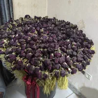 گل خشک با گلدان