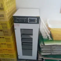 دستگاه جوجه کشی 210تایی هدایت