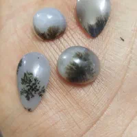 شجر|جواهرات|قزوین, |دیوار