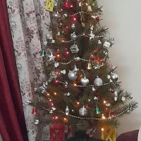 درخت کاج کریسمس باریسه لامپ وتزئینات