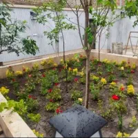 سمپاشی باغبانی هرسکاری تعویض خاک آره چمن کاری