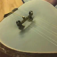 ساخت و تعمیر و رگلاژ تخصصی ساز های تار و سه تار|سازهای سنتی|نیشابور, شهید جعفری|دیوار