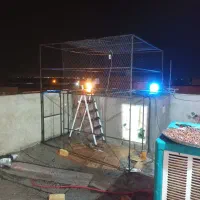 کبوتر