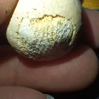 مهره افغان مهره شانس|جواهرات|تهران, گیشا|دیوار