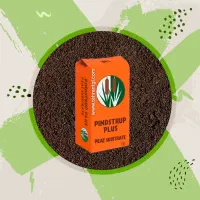 پیت ماس پینداستراپ