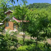 اجاره کلبه جنگلی ویلا سوییت رودخانه سیاهکل