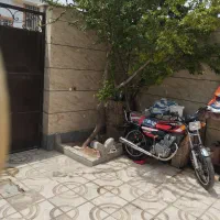 نیکتاز 150|موتورسیکلت|قوچان, |دیوار