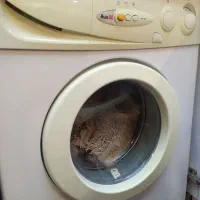 لباسشویی آبسال دوشیر