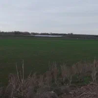 زمین کشاورزی|فروش دفتر صنعتی، کشاورزی، تجاری|سنگدوین, |دیوار