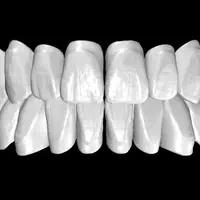 پکیج آموزش نرم افزار اگزوکد دندانپزشکی و دندانسازی|کتاب و مجله آموزشی|تهران, میدان ولیعصر|دیوار