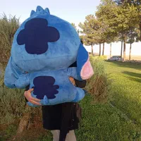 تولیدی عروسک|اسباببازی|نیشابور, جمهوری|دیوار